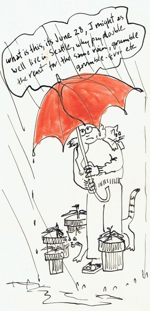 Rain-July-82